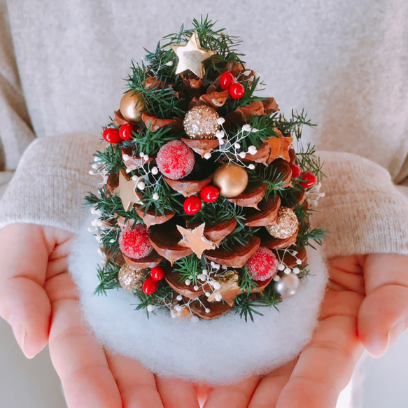 松ぼっくりの星降るクリスマスツリー★2018Mサイズ 1枚目の画像