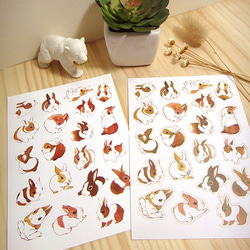 歪的工作室-兔子+浣熊組合貼紙包(含明信片) 第6張的照片