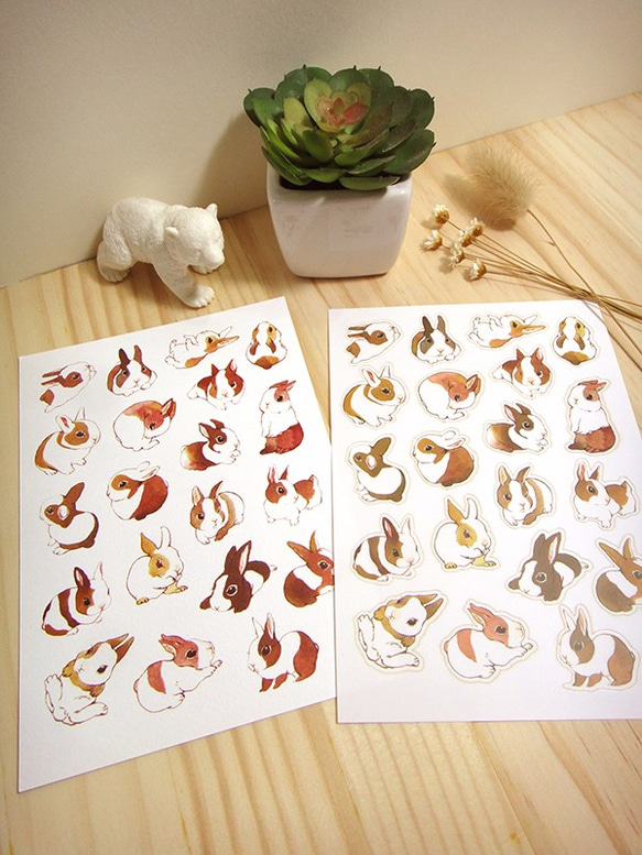 歪的工作室-兔子+浣熊組合貼紙包(含明信片) 第6張的照片