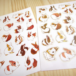 歪的工作室-兔子+浣熊組合貼紙包(含明信片) 第7張的照片