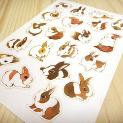 歪的工作室-兔子+浣熊組合貼紙包(含明信片) 第8張的照片