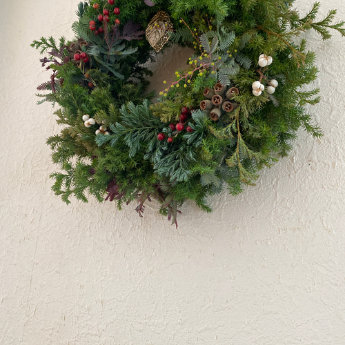 フレッシュ素材のクリスマスリース リーフグリーン ドライフラワー 無