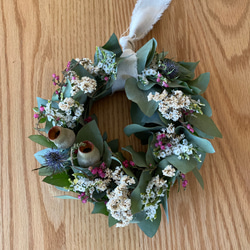 ユーカリの香りかおるbotanical wreathe 1枚目の画像