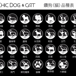 典藏鋯石 304不鏽鋼項鍊-鑽狗牌((送刻字服務)) 第4張的照片