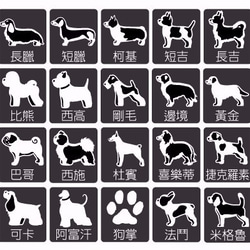 <不鏽鋼雙圈>經典圓牌犬用姓名牌 第4張的照片