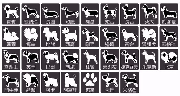 <不鏽鋼雙圈>經典圓牌犬用姓名牌 第4張的照片