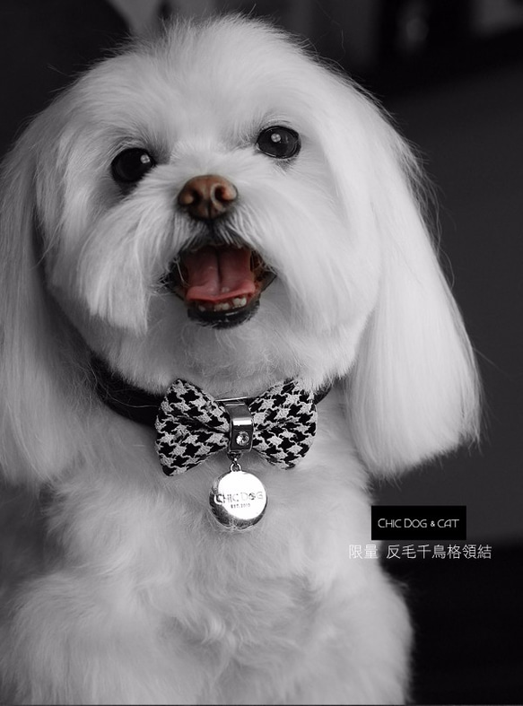 &lt;ステンレス製ダブルリング&gt;ダイヤモンド単ブランドの犬 3枚目の画像