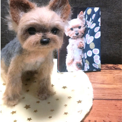 羊毛フェルト　ヨークシャテリア　オーダー　犬　ハンドメイド　ぬいぐるみ　ペットロス　うちの子 3枚目の画像