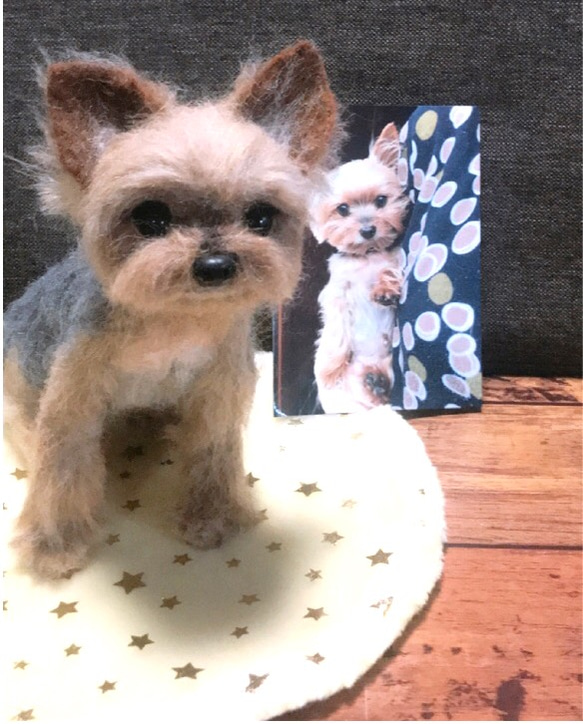 羊毛フェルト　ヨークシャテリア　オーダー　犬　ハンドメイド　ぬいぐるみ　ペットロス　うちの子 3枚目の画像