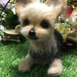 羊毛フェルト　ヨークシャテリア　オーダー　犬　ハンドメイド　ぬいぐるみ　ペットロス　うちの子 2枚目の画像