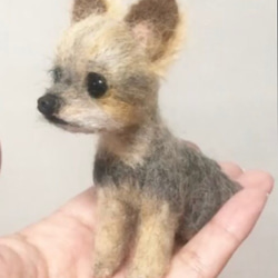 羊毛フェルト　ヨークシャテリア　オーダー　犬　ハンドメイド　ぬいぐるみ　ペットロス　うちの子 4枚目の画像