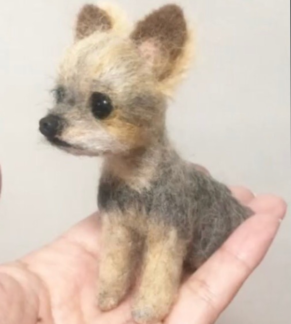 羊毛フェルト　ヨークシャテリア　オーダー　犬　ハンドメイド　ぬいぐるみ　ペットロス　うちの子 4枚目の画像