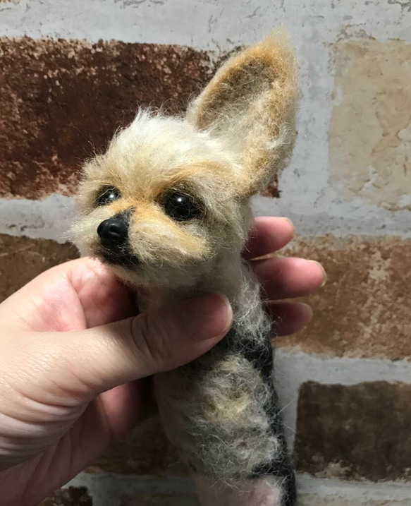 羊毛フェルト　ヨークシャテリア　オーダー　犬　ハンドメイド　ぬいぐるみ　ペットロス　うちの子 5枚目の画像