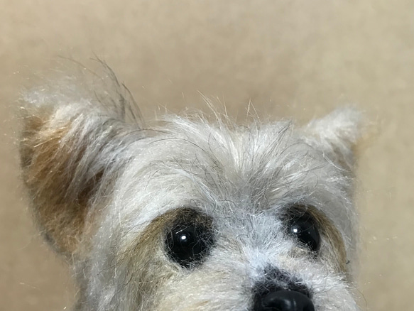 羊毛フェルト　ヨークシャテリア　オーダー　犬　ハンドメイド　ぬいぐるみ　ペットロス　うちの子　25cm 無料 一つ一つ手作りします