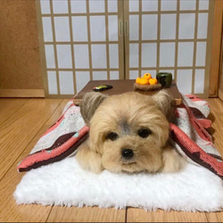 羊毛フェルト　ヨークシャテリア　オーダー　犬　ハンドメイド　ぬいぐるみ　ペットロス　うちの子 8枚目の画像