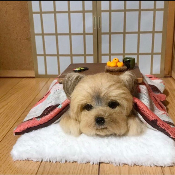 羊毛フェルト　ヨークシャテリア　オーダー　犬　ハンドメイド　ぬいぐるみ　ペットロス　うちの子 8枚目の画像