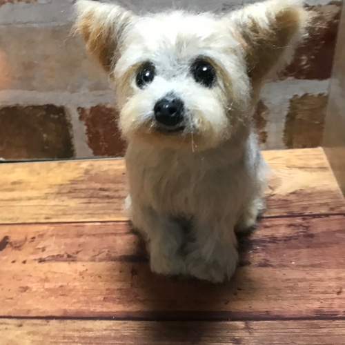 羊毛フェルト ヨークシャテリア オーダー 犬 ハンドメイド 羊毛フェルト ヨークシャテリア オーダー 犬 ハンドメイド