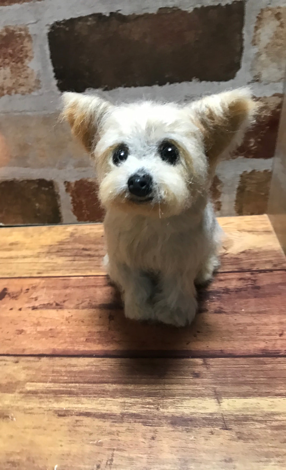 羊毛フェルト ハンドメイド 犬 ヨークシャテリア 羊毛フェルト