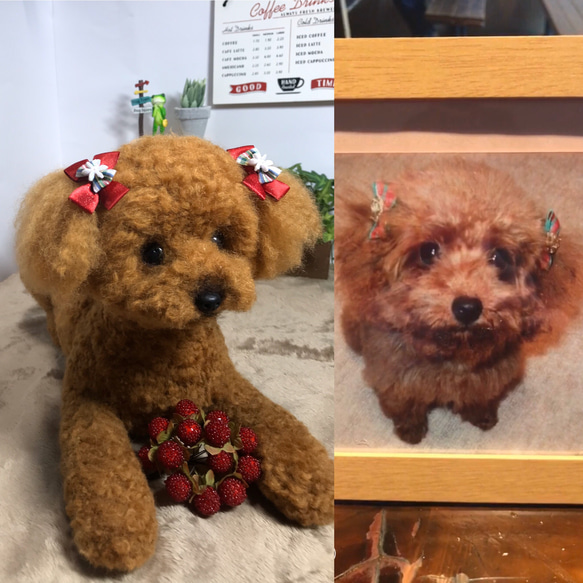 オーダー  トイプードル　羊毛フェルト　犬　　ハンドメイド　ぬいぐるみ　ペットロス　うちの子 7枚目の画像