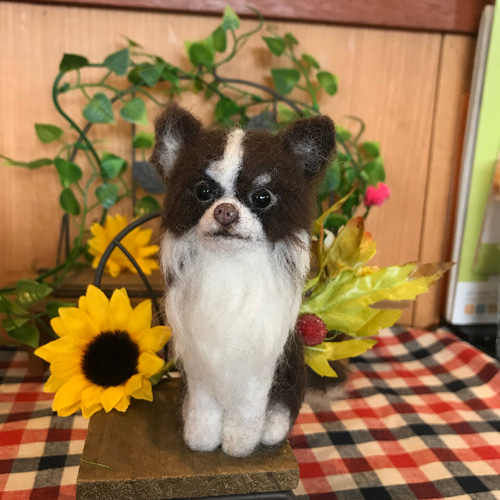 羊毛フェルト オーダー チワワ 犬 Mサイズ ハンドメイド