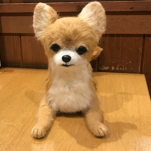 羊毛フェルト オーダー チワワ 犬 Mサイズ ハンドメイド