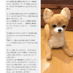 羊毛フェルト　オーダー　チワワ　犬　Ｍサイズ　ハンドメイド　ぬいぐるみ　ペットロス　うちの子 1枚目の画像