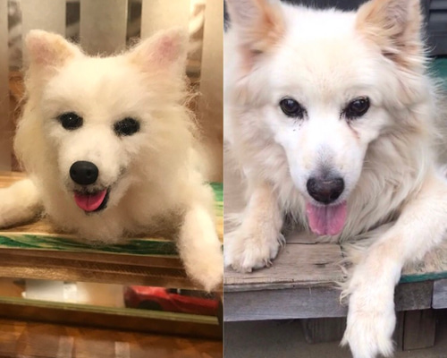 ⭐chopin⭐。羊毛フェルトオーダー。 羊毛フェルト オーダーメイド SSサイズ オーダー Wool felt Made