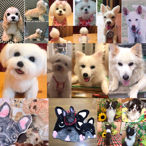 羊毛フェルト オーダーメイド SSサイズ オーダー Wool felt Made