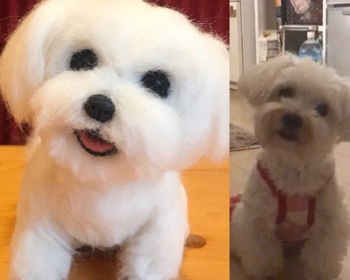 七夕 織姫と彦星 トイプードル マルチーズ ☆ 犬 羊毛フェルト