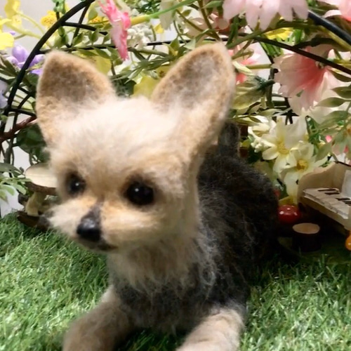 受注制作 羊毛フェルト 犬 オーダー 犬 猫 ハンドメイド