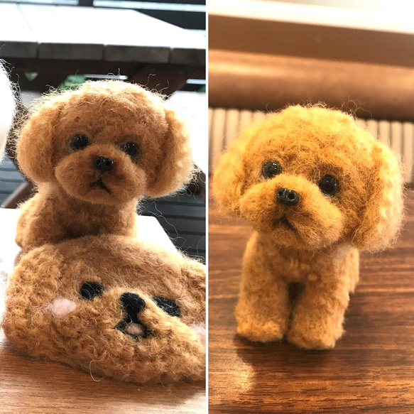 オーダー】羊毛フェルト 実物大トイプードルちゃん 羊毛フェルト