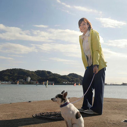 パラコード カフェリード 首輪 セット 犬のリード 犬の首輪 小型犬　中型犬 1枚目の画像