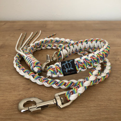 パラコードリード 分離型 多頭用 軽量タイプ 小型犬 パラコードリード