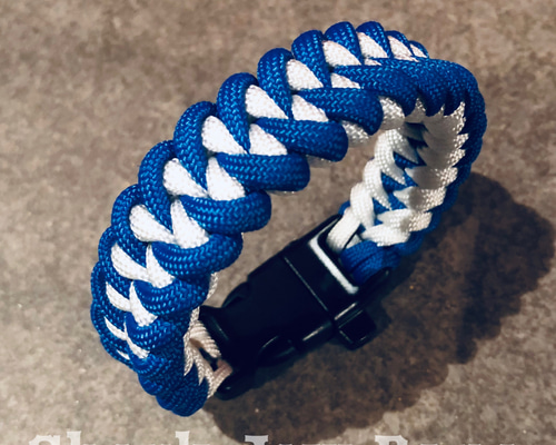 0_b923ada2e39320cf773fc13589c9