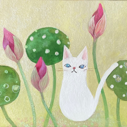 蓮蕾と白猫 1枚目の画像