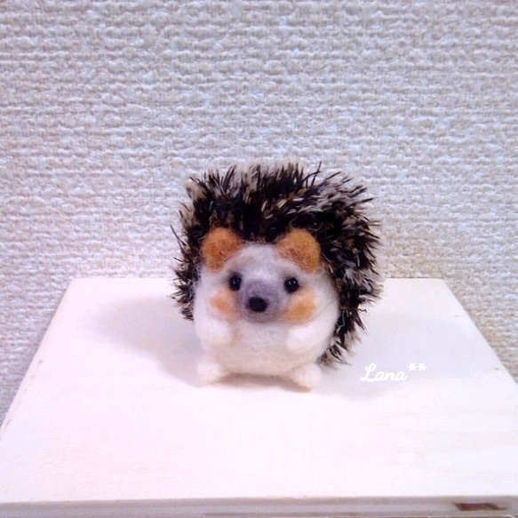 ハリネズミ 羊毛フェルト 羊毛フェルト cotta 通販 11589401