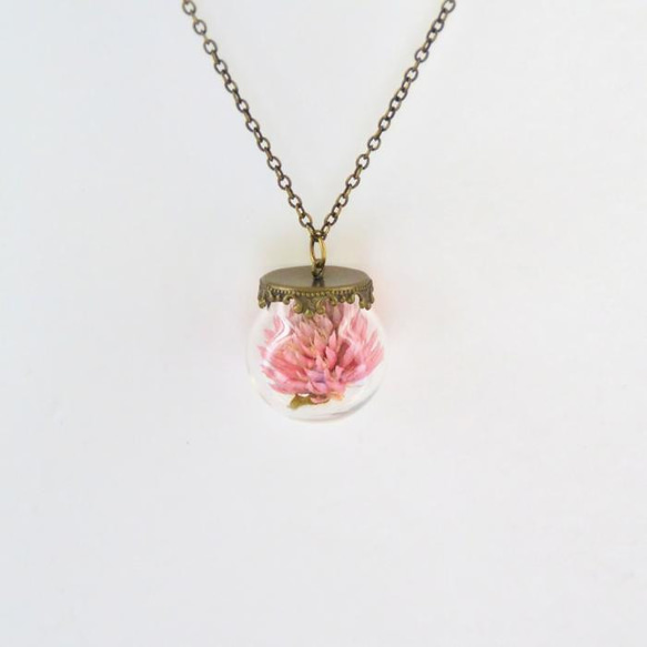 ロマンチカ*ガラスの中の花　Real Floral Necklace(千日紅) 4枚目の画像