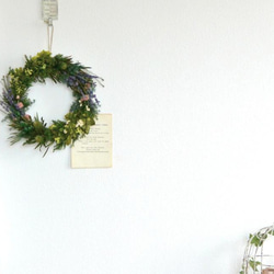 緑のハーモニー 3枚目の画像