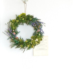 緑のハーモニー 1枚目の画像