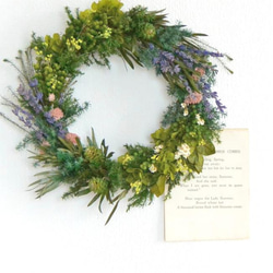 緑のハーモニー 2枚目の画像