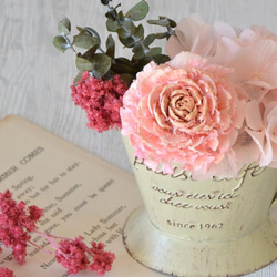 ル・タン・ドゥ・テ（ピンク☓ピンク） 2枚目の画像