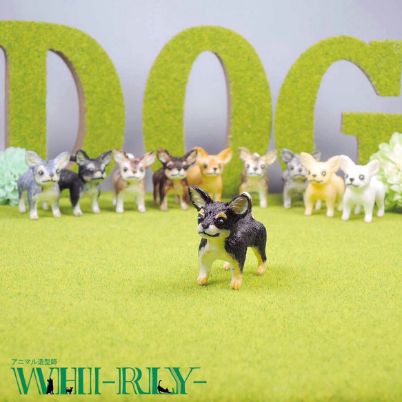 チワワ（ブラック・タン）フィギュア おもちゃ・ペット小物 WHI-RLY