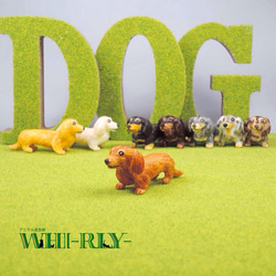 チワワ（ブリンドル）フィギュア おもちゃ・ペット小物 WHI-RLY
