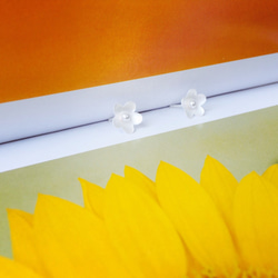 925スターリングシルバーのピュアホワイトマット表面[シンプルでエレガントな大きな花の耳の針] 3枚目の画像