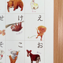 【お風呂OKリニューアル】A3サイズ どうぶつあいうえおポスター | あいうえお表 | ひらがな表 | ラッピング済み 6枚目の画像