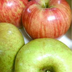 ＊限定＊3種のりんご食べ比べ！ガトーインビジブル 3枚目の画像