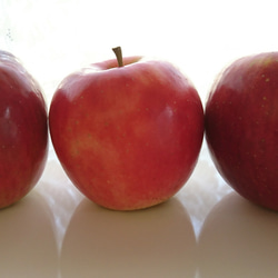 ＊限定＊3種のりんご食べ比べ！ガトーインビジブル 4枚目の画像