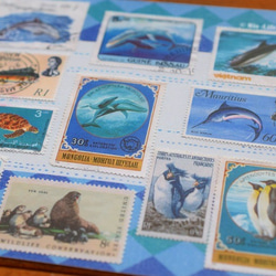 水族館ポストカード（イルカ・ペンギン） 2枚目の画像