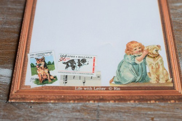 犬のメッセージカード（Green）３枚セット（再） 4枚目の画像