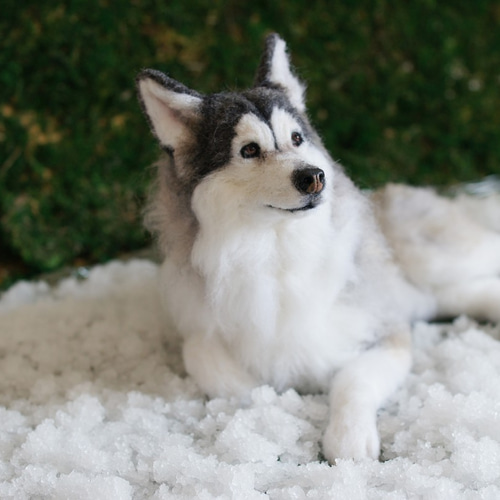 MINI'S SECRET〜Felting-非常にリアルなシミュレーションのペット